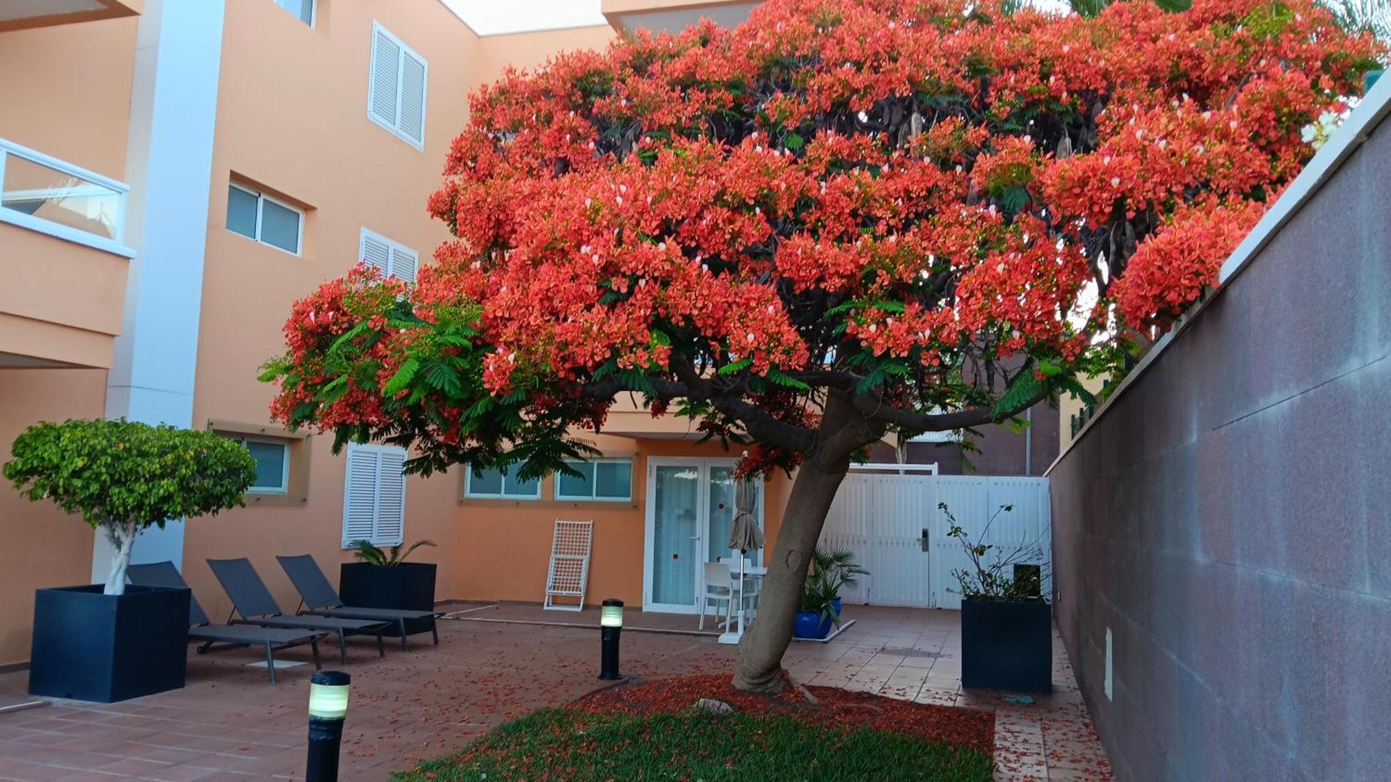 Apartamentos Horizonte Playa del Inglés Extérieur photo